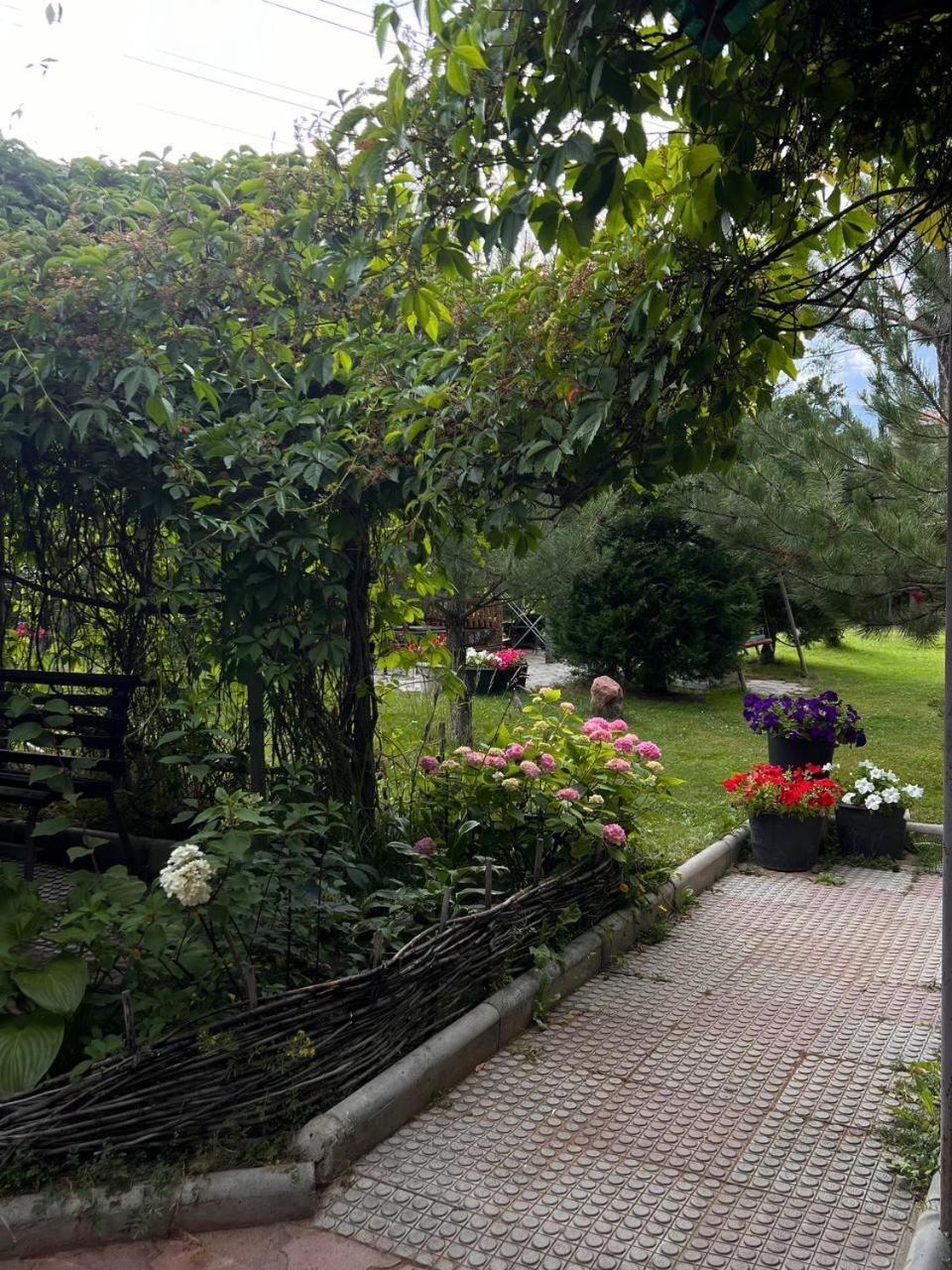 Podsolnukhi Guest House Чолпон-Ата Екстериор снимка