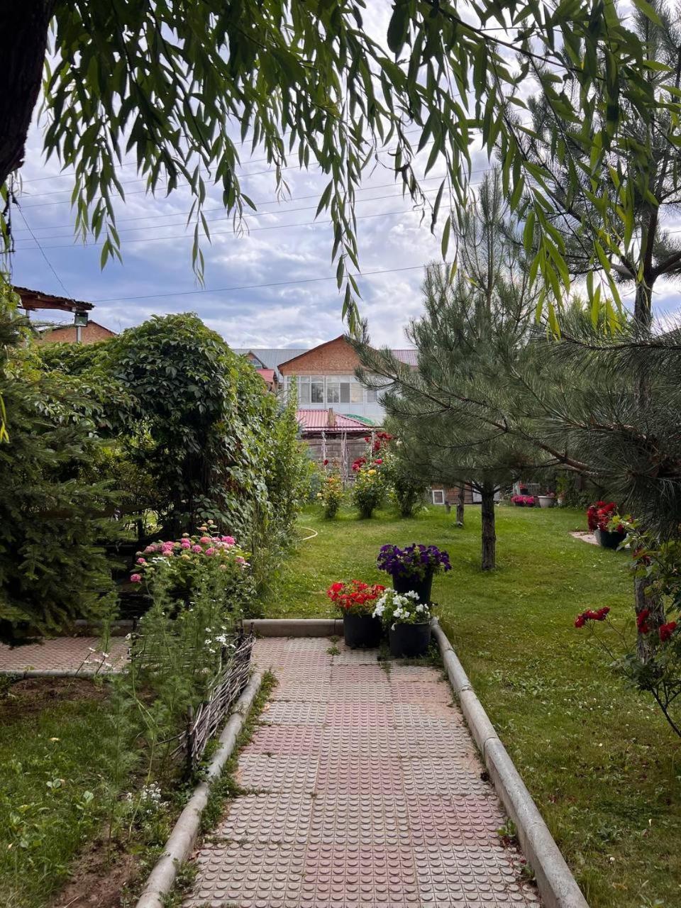 Podsolnukhi Guest House Чолпон-Ата Екстериор снимка